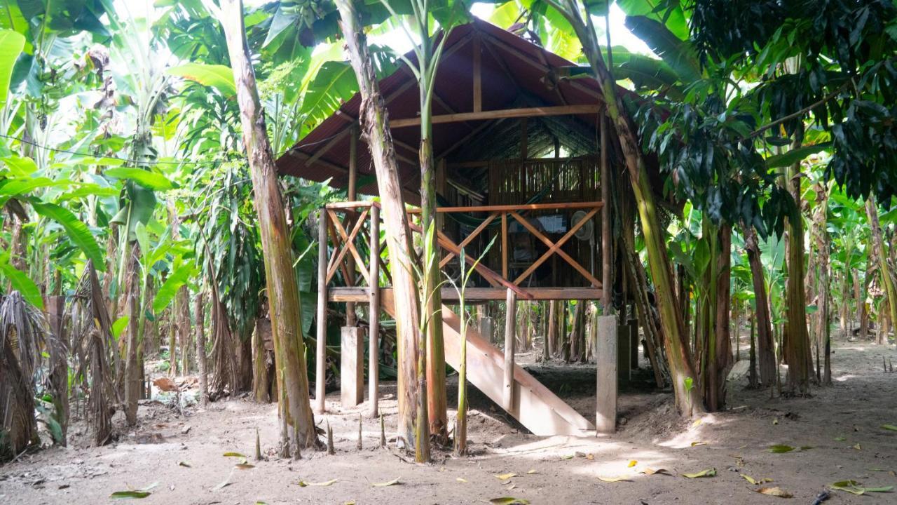 La Playita Vandrerhjem Guachaca Eksteriør bilde