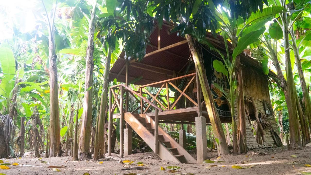 La Playita Vandrerhjem Guachaca Eksteriør bilde
